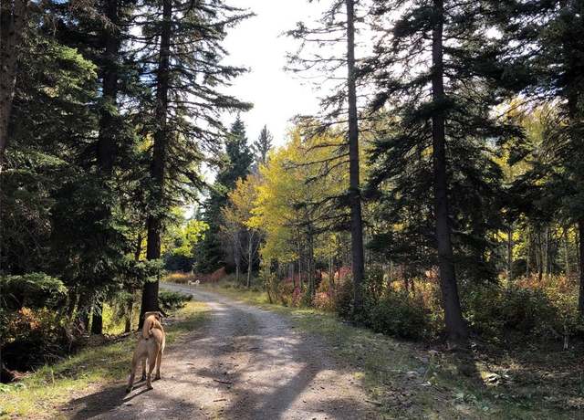 Property at Lots 8-10 Valley View Rd, Lincoln, MT 59639
