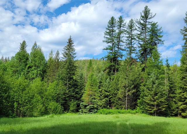 Property at H.E.S. #1051 Rabbit Creek Rd, Troy, MT 59935
