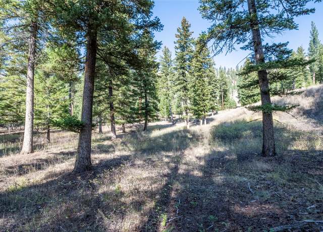 Property at Lot 17 Caddisfly Ct, Clinton, MT 59825