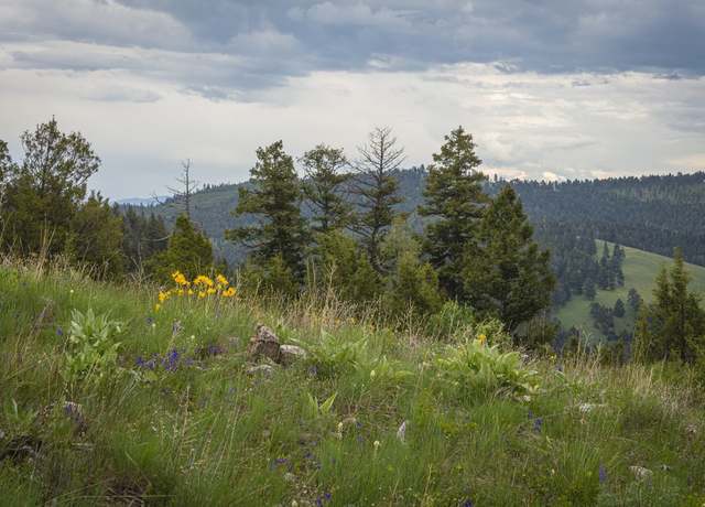 Property at 10 and 11 Tract, Bull Elk, Drummond, MT 59832