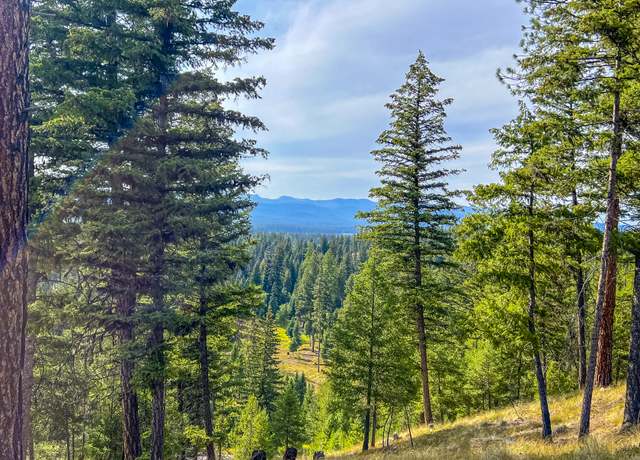 Property at NHN Black Bear Ct, Seeley Lake, MT 59868