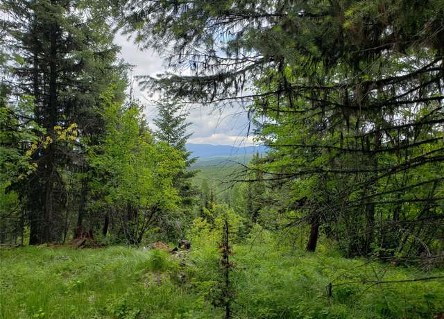 Property at TBD Butcher Creek Rd, Trego, MT 59934