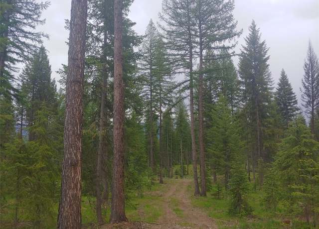 Property at NHN Off-styler Dr, Condon, MT 59826