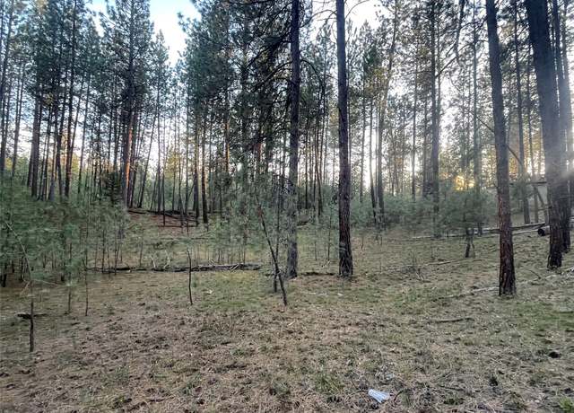 Property at NHN Leanin Tree Ln Lot 15, Pablo, MT 59855