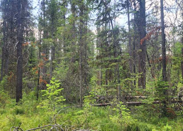 Property at 9295 Highway 93 N, Olney, MT 59927