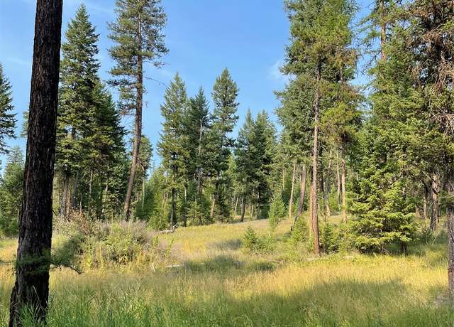 Property at 1062 Brady Way W, Whitefish, MT 59937