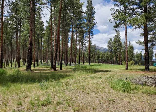 Property at 429 Two Horse Ln, Hamilton, MT 59840