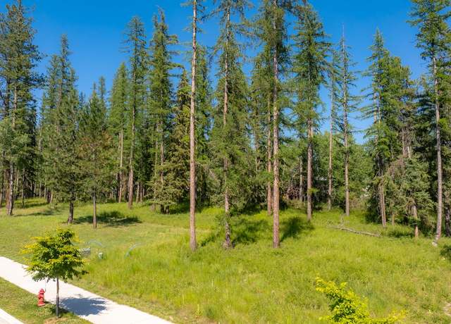 Property at 169 Mountain Brook Ln, Whitefish, MT 59937