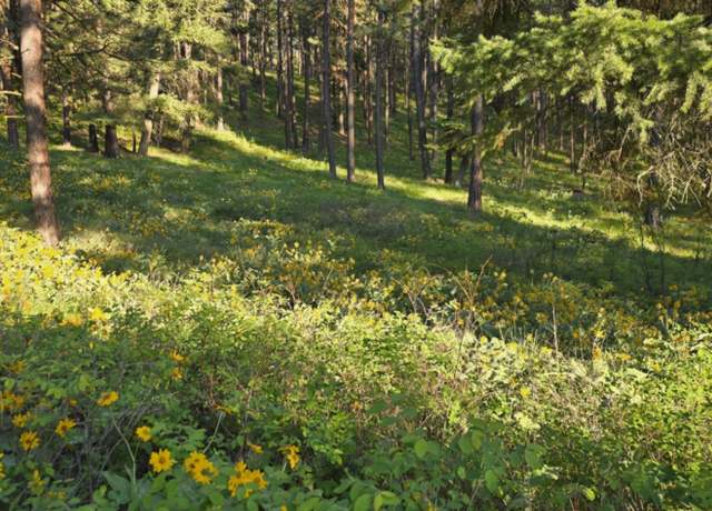 Property at NHN Profile Rock Dr, Alberton, MT 59820