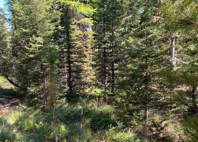 Property at NHN Mill Creek Rd, Frenchtown, MT 59834