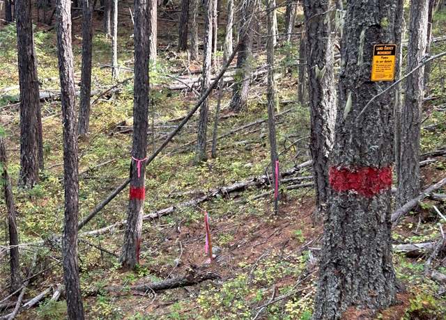 Property at TBD Granite Creek Rd, Libby, MT 59923