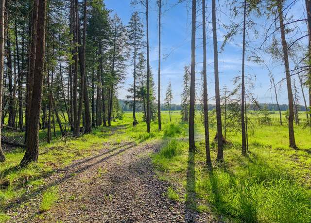 Property at 1350 Mooring Meadow Dr, Columbia Falls, MT 59912