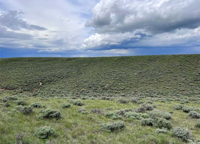 Property at Tract 11 Steel Creek Rd, Wisdom, MT 59761