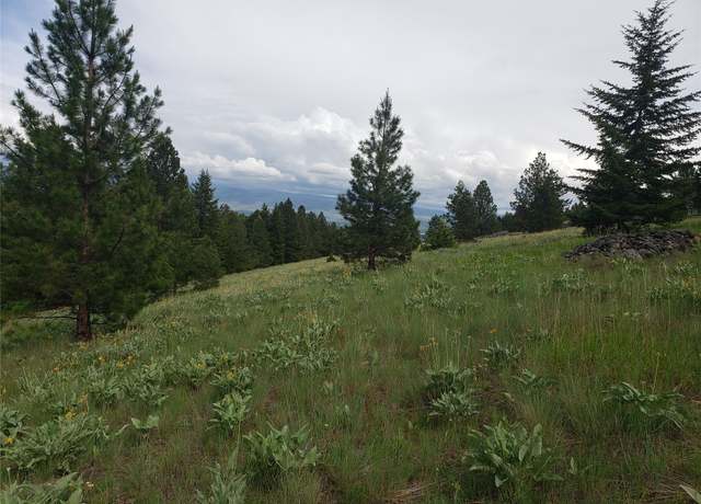 Property at Nhn Oertli Ln, Hamilton, MT 59840