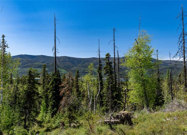 Property at 22000 Fenby Ln, Bigfork, MT 59911