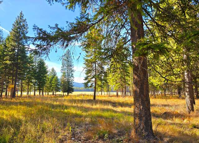 Property at 19 Faro Ln, Trout Creek, MT 59874