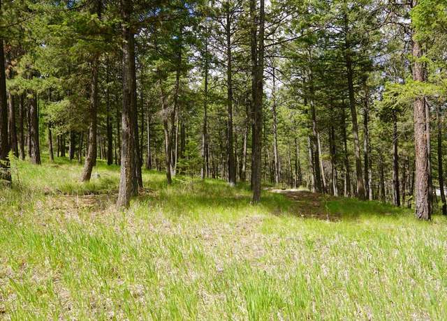 Property at 50 Skyview Dr, Rexford, MT 59930