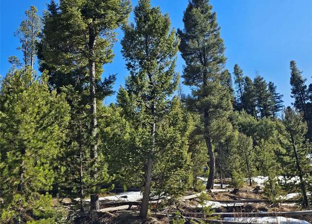 Property at NHN Elk Horn Rd, Helmville, MT 59843