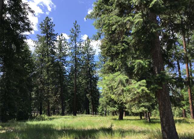 Property at 11 River Run Loop, Saint Regis, MT 59866