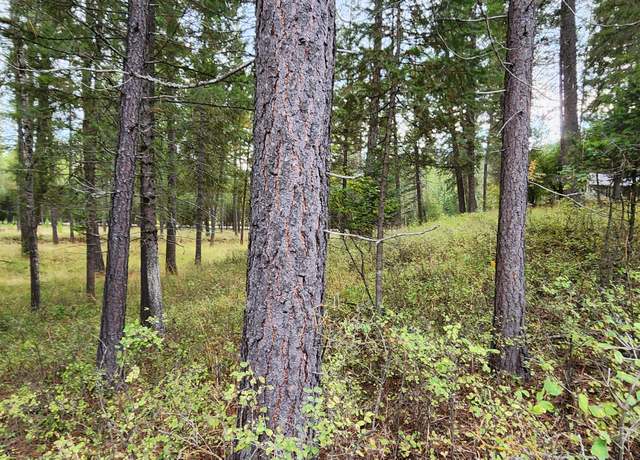 Property at 3100 Kootenai River Rd Unit PO BOX 1380, Libby, MT 59923