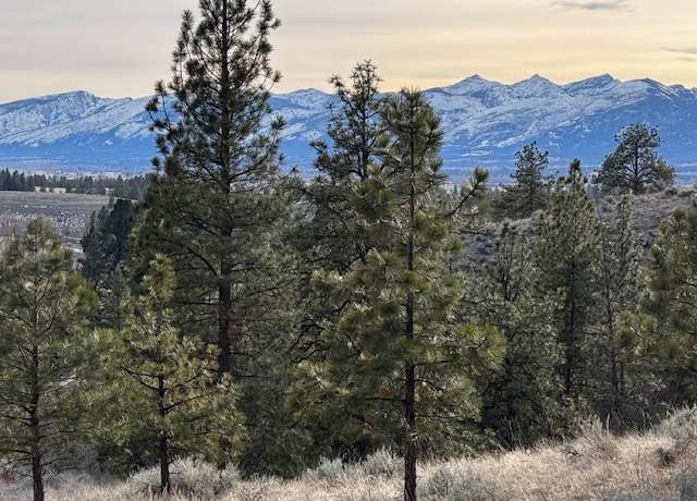 Property at 729 & 711 Rabbit Run, Stevensville, MT 59870