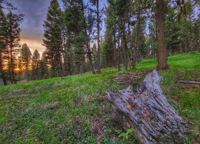 Property at 289 Seclusion Pt, Seeley Lake, MT 59868