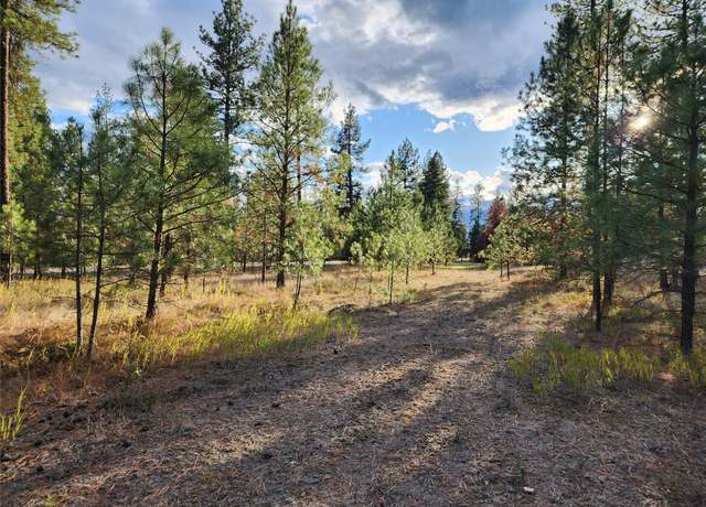 Property at KNA Highway 37, Libby, MT 59923