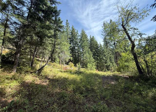 Property at NKN Wyant Ln, Hamilton, MT 59840