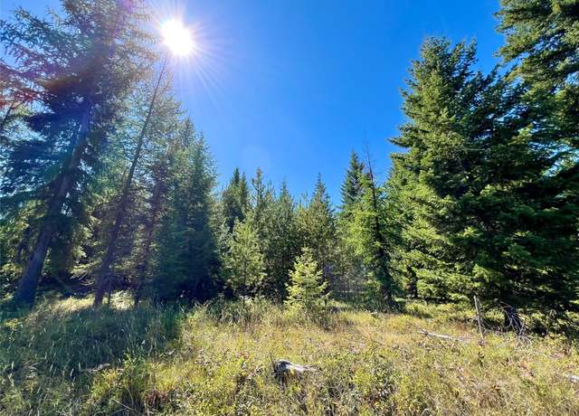 Property at Nhn Sapphire Ln E, Trout Creek, MT 59874