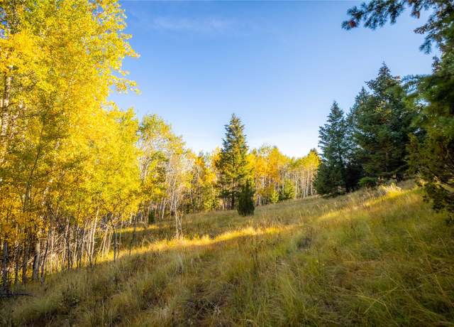 Property at NHN Lone Pine Gulch Rd, Ramsay, MT 59748