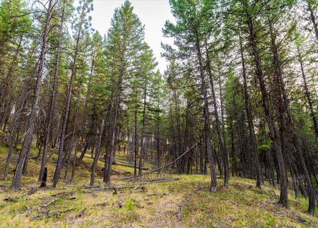 Property at NHN Black Lake Rd, Rexford, MT 59930