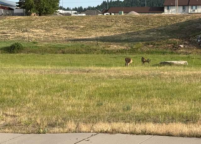 Property at Lot 23 Timberwolf Ests, Polson, MT 59860