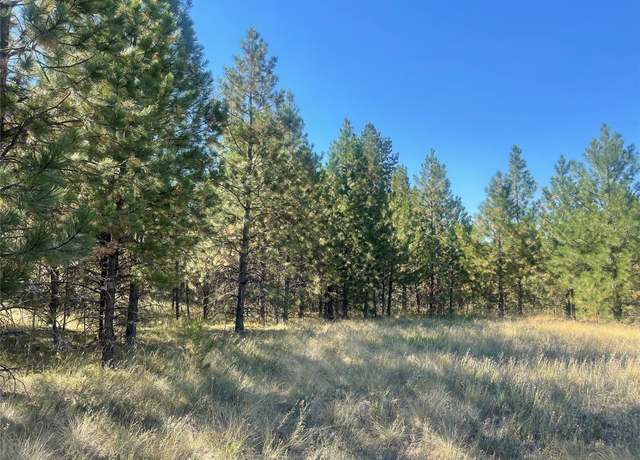Property at Lot 55 Jetter Meadow Rd, Polson, MT 59860