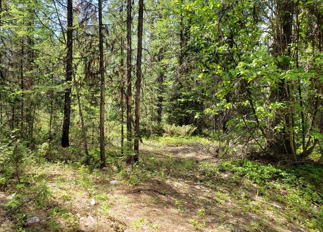 Property at NHN Butcher Creek Rd, Trego, MT 59934