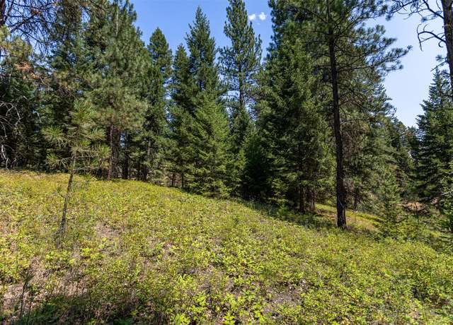 Property at 000 Thunder Rd, Victor, MT 59875