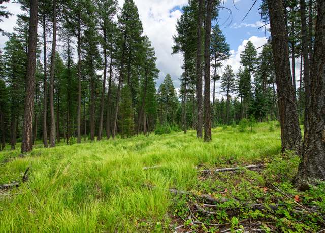 Property at 185 Rosewood Ln, Whitefish, MT 59937