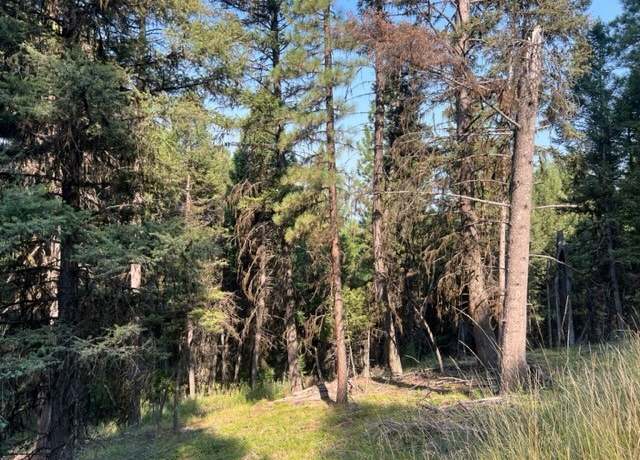 Property at 433 Stage Coach Dr, Seeley Lake, MT 59868