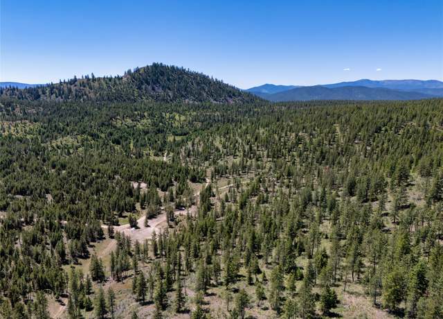 Property at TBT MT Highway 28, Plains, MT 59859