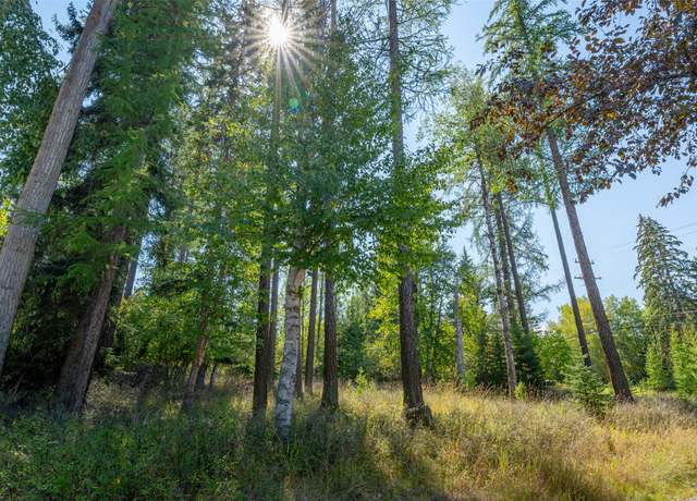 Property at 1000 Colorado Ave, Whitefish, MT 59937