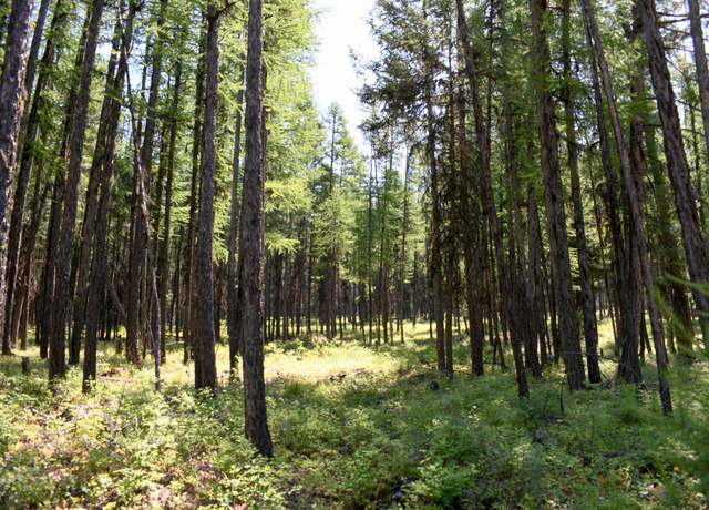 Property at Lot 2b Phills Lake Rd, Rexford, MT 59930