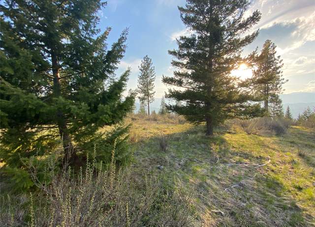 Property at Lot 17 Bighorn Bluff Rd, Plains, MT 59859