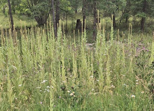 Property at 302 Skookum Rd Lot 12, Lakeside, MT 59922