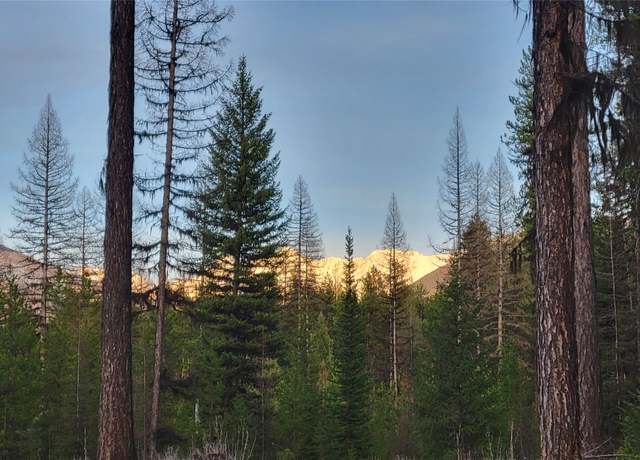 Property at Nhn Shay Lake Rd, Bigfork, MT 59911