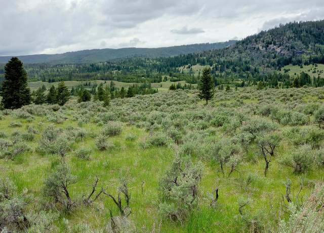 Property at NHN Moose Lake Rd, Philipsburg, MT 59858