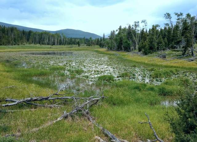 Property at NHN Moose Lake Rd, Philipsburg, MT 59858