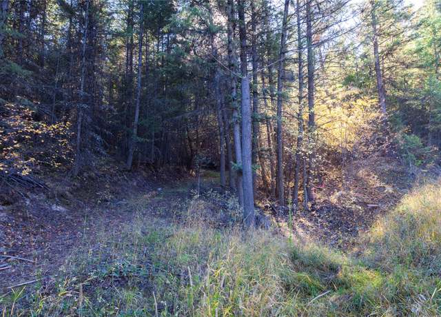 Property at 10 Acres Gut Creek Rd, Rexford, MT 59930