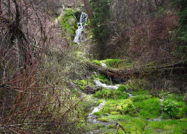 Property at 6300 Camas Creek Rd, Potomac, MT 59823