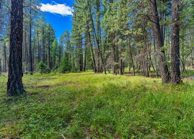 Property at nhn Kelley Dr, MT 59911