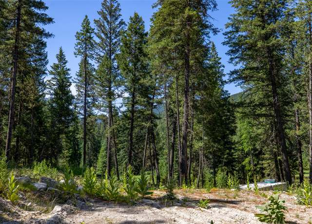 Property at 1286 Coon Hollow Rd, Kila, MT 59920