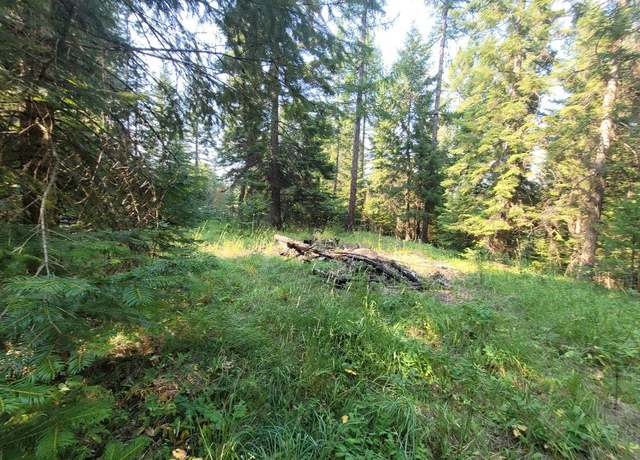 Property at Nhn Upper Flower Creek Rd, Libby, MT 59923